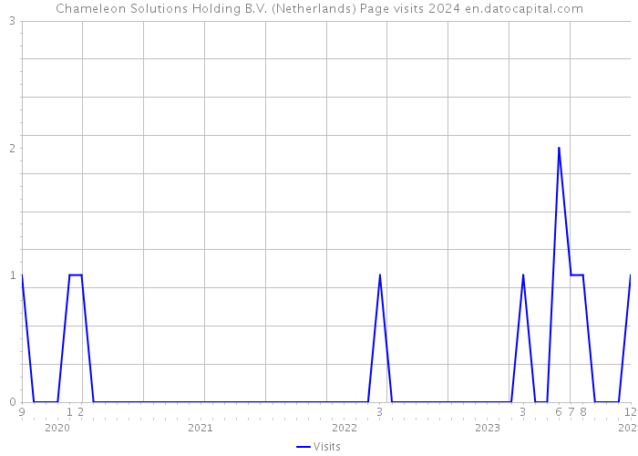 Chameleon Solutions Holding B.V. (Netherlands) Page visits 2024 