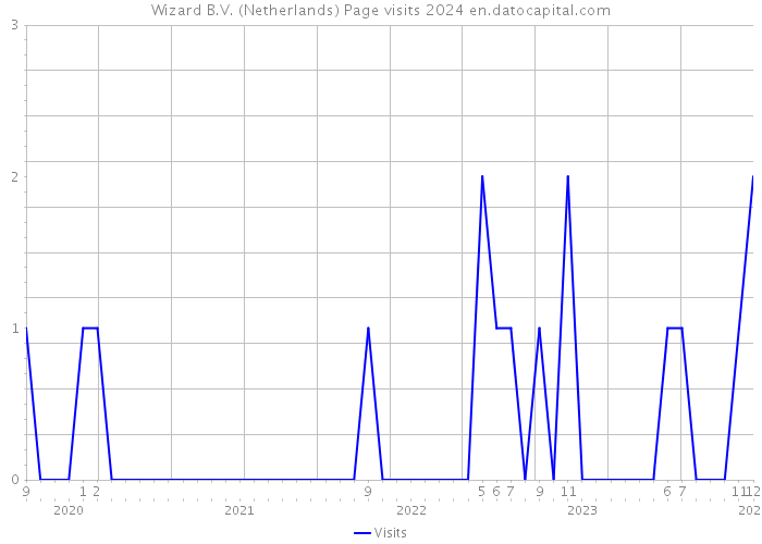 Wizard B.V. (Netherlands) Page visits 2024 