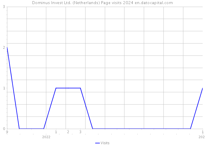 Dominus Invest Ltd. (Netherlands) Page visits 2024 