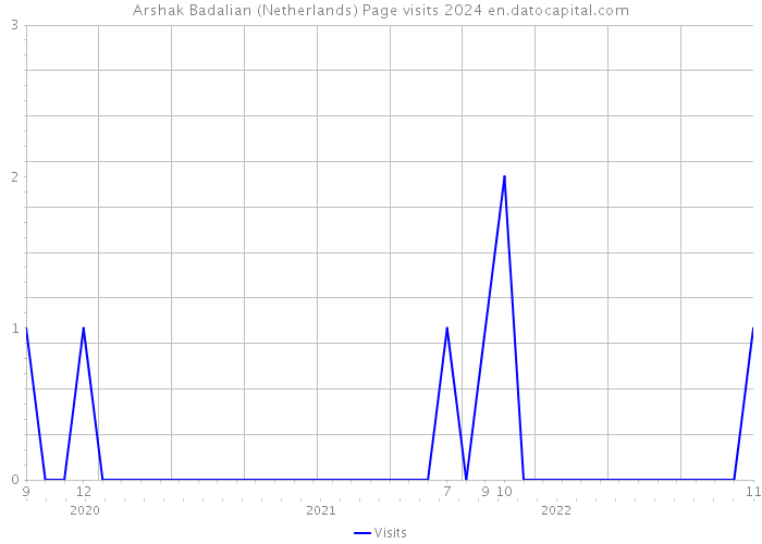 Arshak Badalian (Netherlands) Page visits 2024 