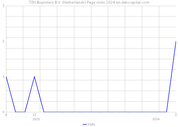 TZN Buijnsters B.V. (Netherlands) Page visits 2024 