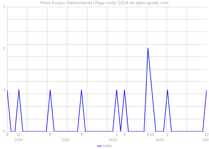 Peter Koops (Netherlands) Page visits 2024 