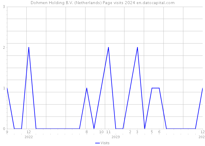 Dohmen Holding B.V. (Netherlands) Page visits 2024 