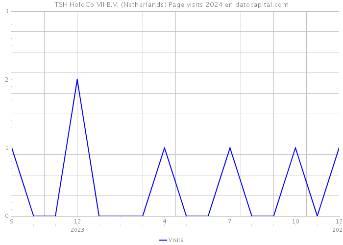 TSH HoldCo VII B.V. (Netherlands) Page visits 2024 