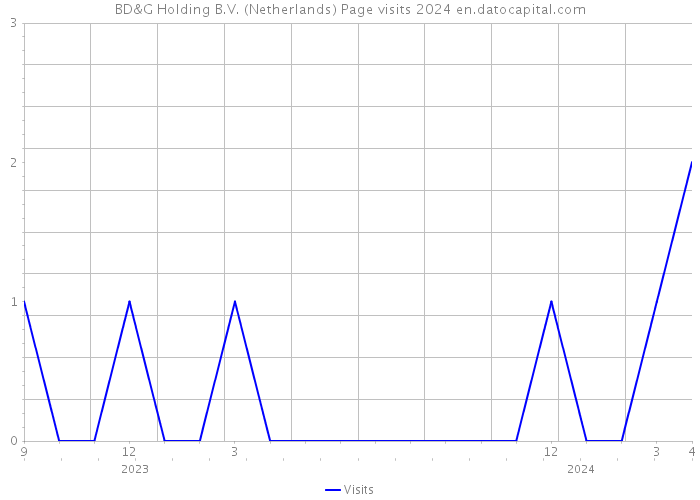 BD&G Holding B.V. (Netherlands) Page visits 2024 