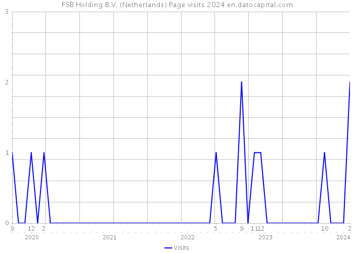FSB Holding B.V. (Netherlands) Page visits 2024 
