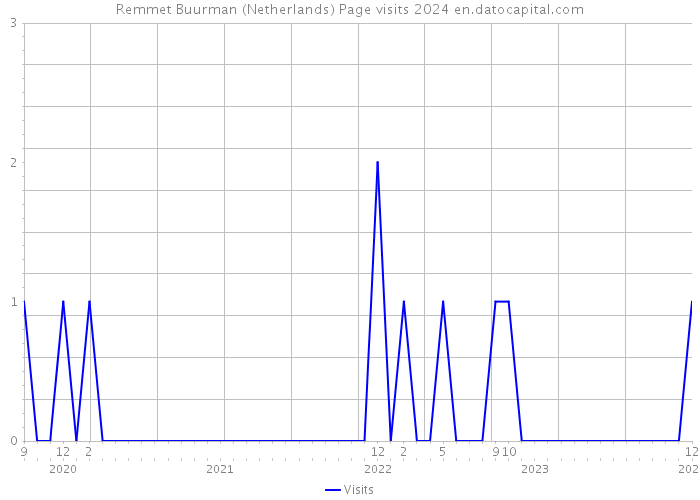 Remmet Buurman (Netherlands) Page visits 2024 