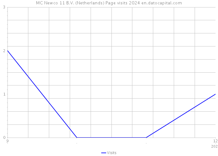 MC Newco 11 B.V. (Netherlands) Page visits 2024 