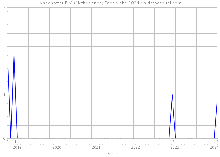 Jongenotter B.V. (Netherlands) Page visits 2024 