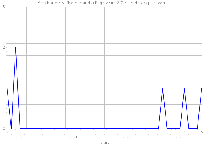 Backbone B.V. (Netherlands) Page visits 2024 