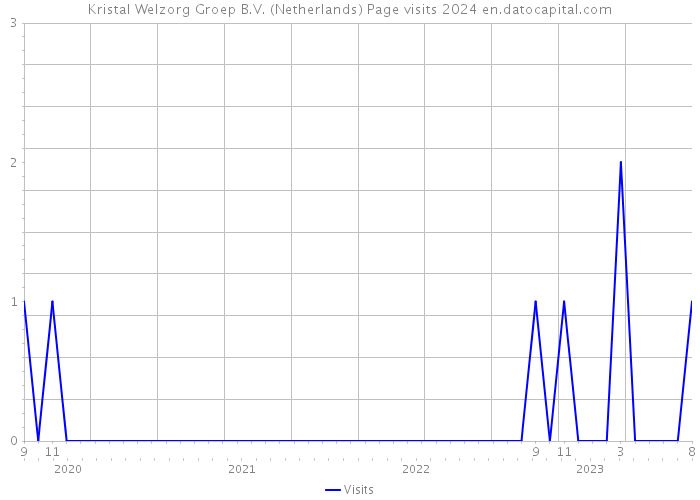 Kristal Welzorg Groep B.V. (Netherlands) Page visits 2024 
