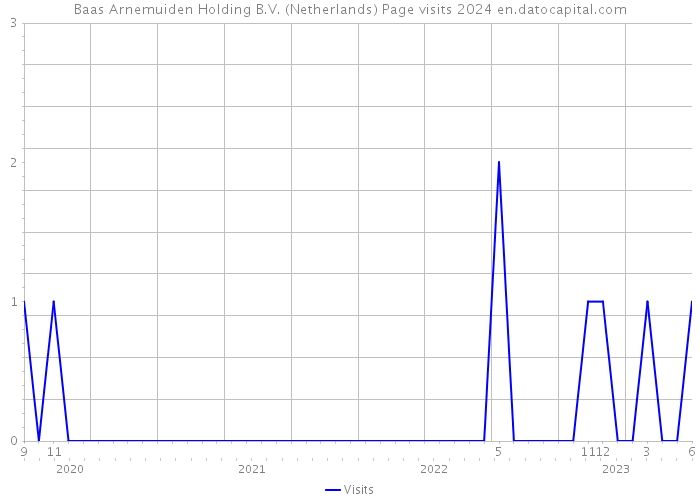 Baas Arnemuiden Holding B.V. (Netherlands) Page visits 2024 