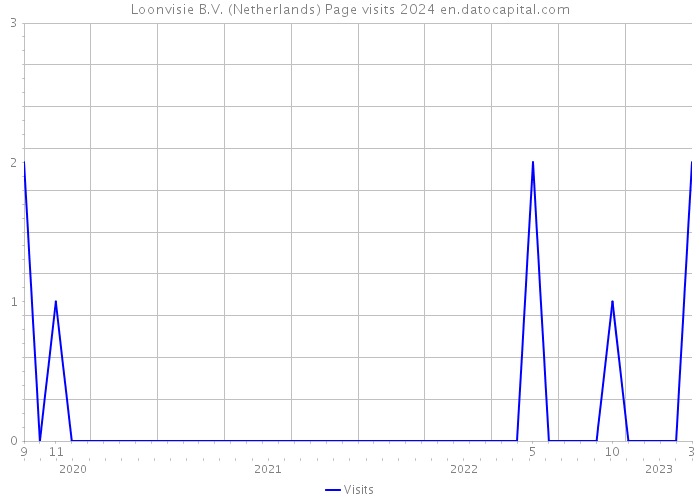 Loonvisie B.V. (Netherlands) Page visits 2024 