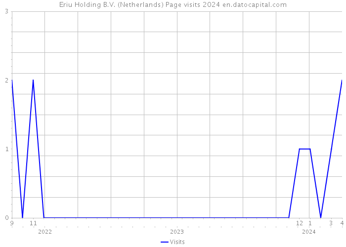 Eriu Holding B.V. (Netherlands) Page visits 2024 