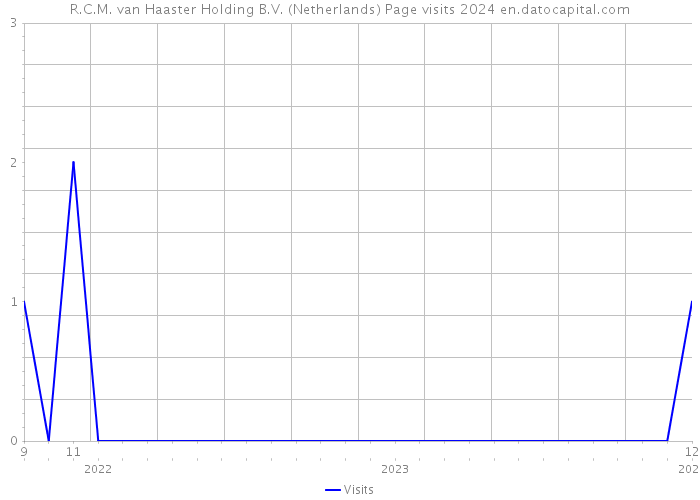 R.C.M. van Haaster Holding B.V. (Netherlands) Page visits 2024 