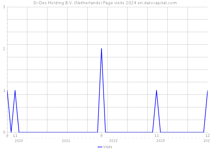 Si-Des Holding B.V. (Netherlands) Page visits 2024 