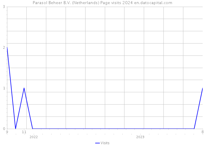 Parasol Beheer B.V. (Netherlands) Page visits 2024 