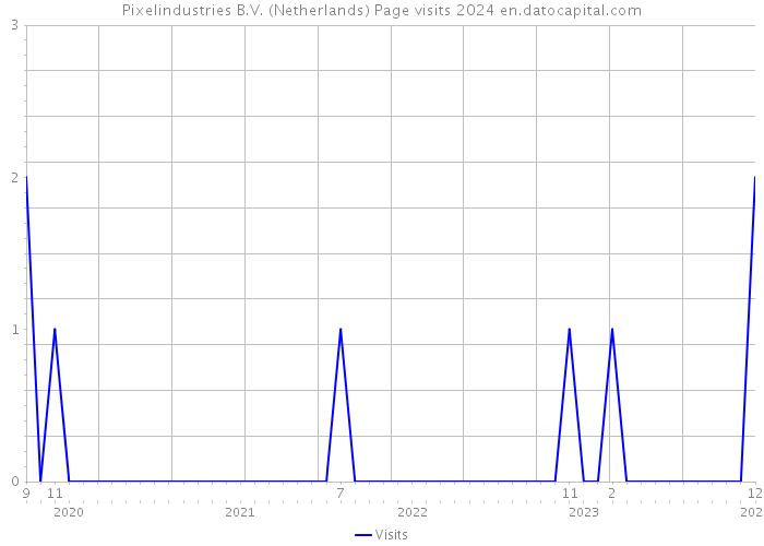 Pixelindustries B.V. (Netherlands) Page visits 2024 