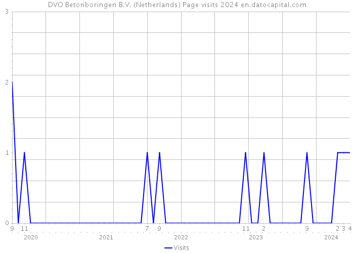 DVO Betonboringen B.V. (Netherlands) Page visits 2024 