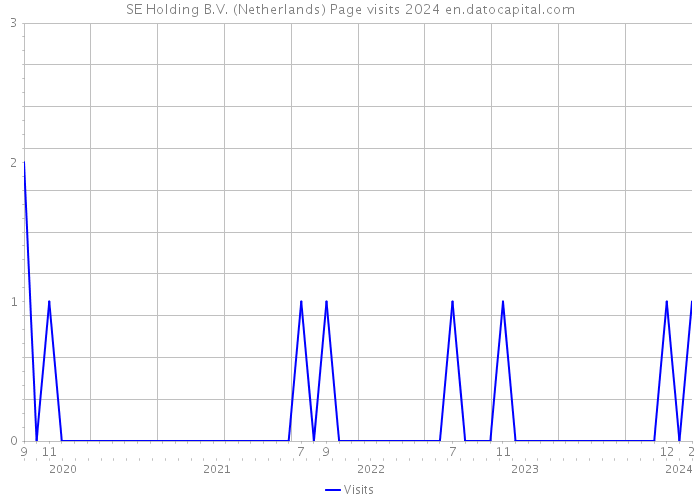 SE Holding B.V. (Netherlands) Page visits 2024 