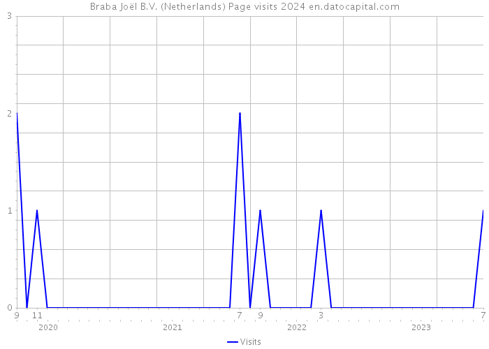 Braba Joël B.V. (Netherlands) Page visits 2024 