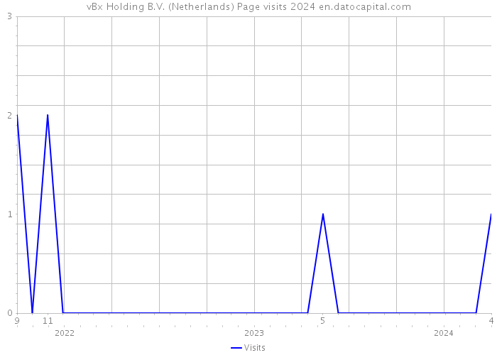 vBx Holding B.V. (Netherlands) Page visits 2024 