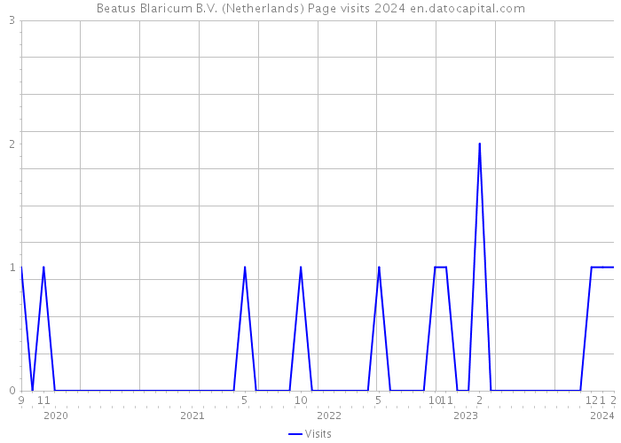 Beatus Blaricum B.V. (Netherlands) Page visits 2024 