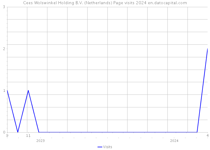 Cees Wolswinkel Holding B.V. (Netherlands) Page visits 2024 