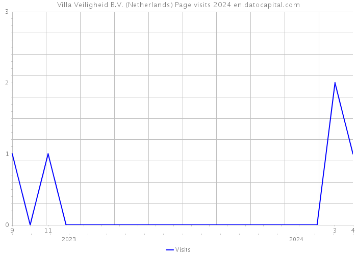 Villa Veiligheid B.V. (Netherlands) Page visits 2024 