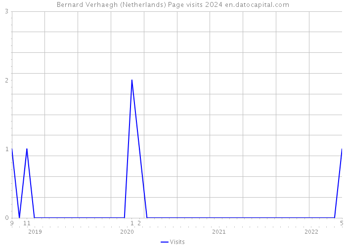 Bernard Verhaegh (Netherlands) Page visits 2024 