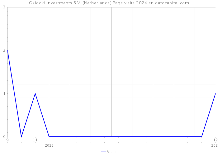 Okidoki Investments B.V. (Netherlands) Page visits 2024 