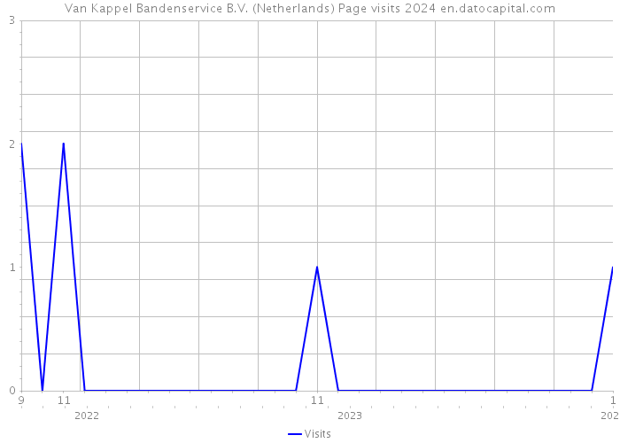 Van Kappel Bandenservice B.V. (Netherlands) Page visits 2024 