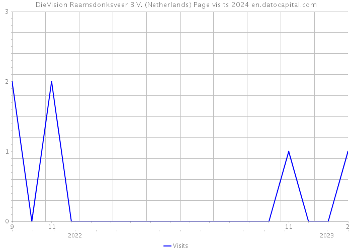 DieVision Raamsdonksveer B.V. (Netherlands) Page visits 2024 