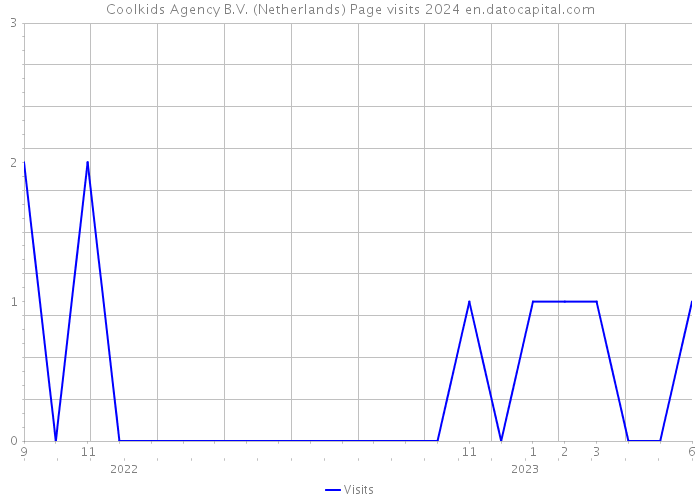 Coolkids Agency B.V. (Netherlands) Page visits 2024 