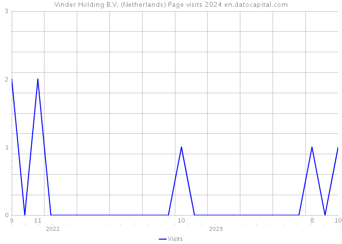 Vinder Holding B.V. (Netherlands) Page visits 2024 