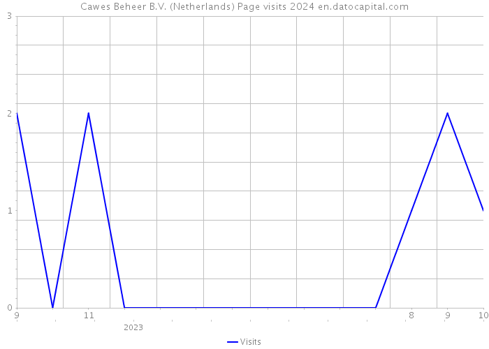 Cawes Beheer B.V. (Netherlands) Page visits 2024 