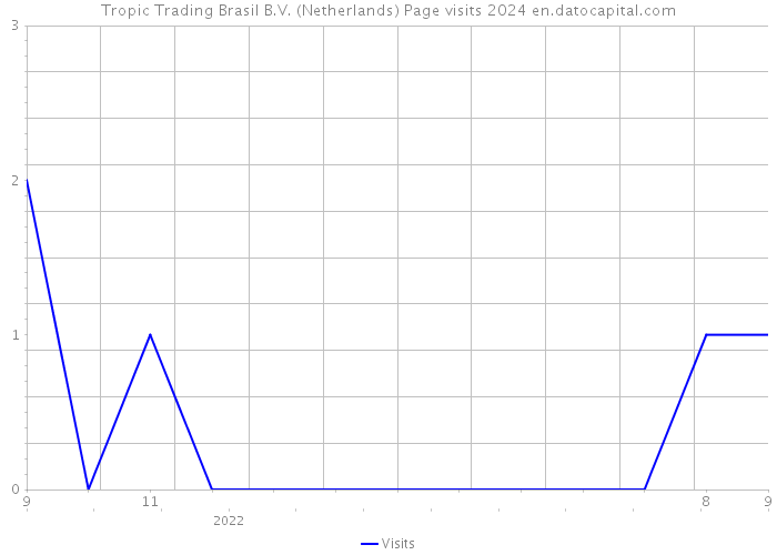 Tropic Trading Brasil B.V. (Netherlands) Page visits 2024 