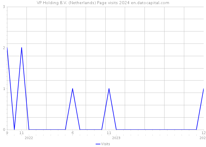 VP Holding B.V. (Netherlands) Page visits 2024 