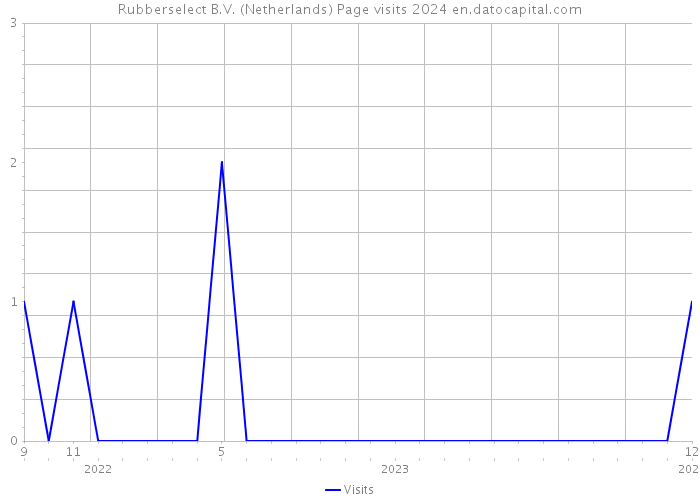 Rubberselect B.V. (Netherlands) Page visits 2024 