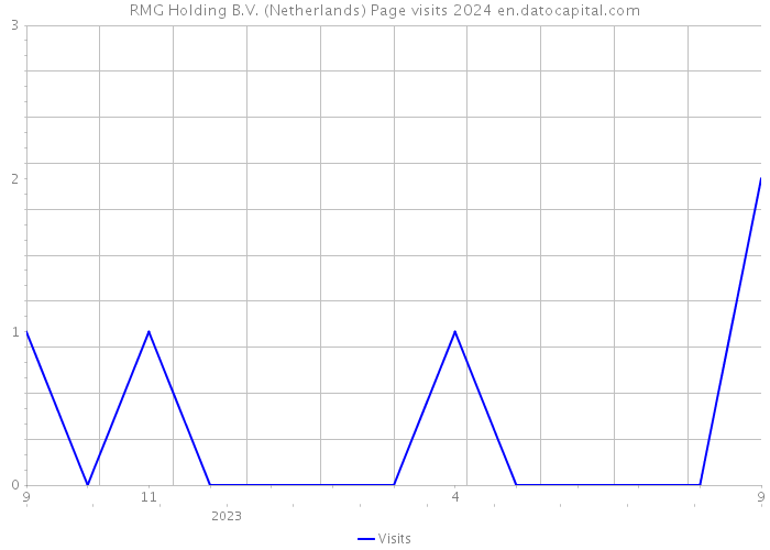RMG Holding B.V. (Netherlands) Page visits 2024 