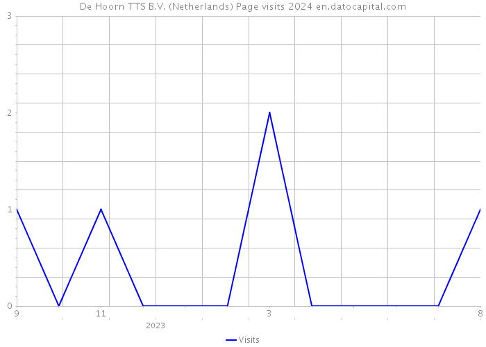 De Hoorn TTS B.V. (Netherlands) Page visits 2024 