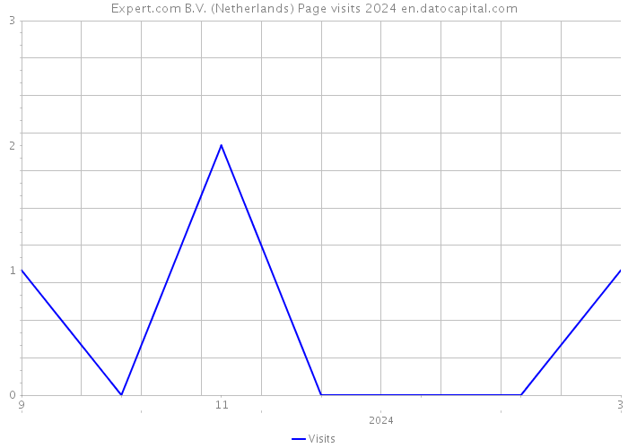 Expert.com B.V. (Netherlands) Page visits 2024 