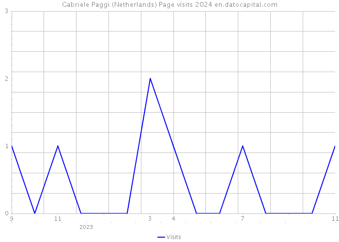 Gabriele Paggi (Netherlands) Page visits 2024 