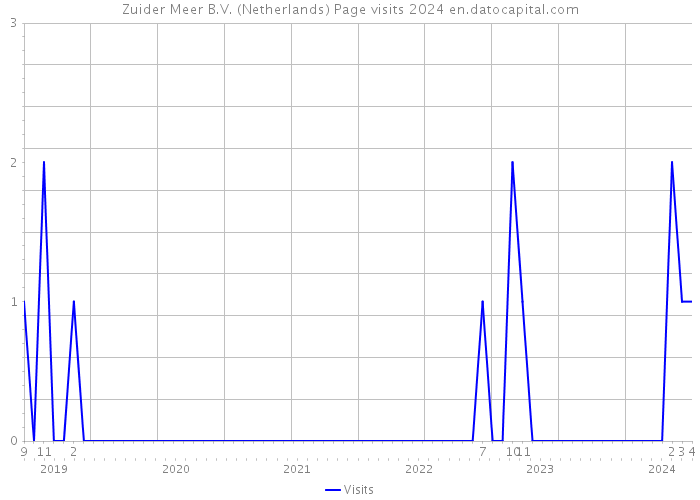 Zuider Meer B.V. (Netherlands) Page visits 2024 