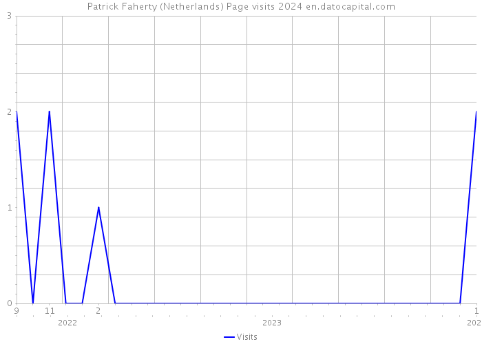 Patrick Faherty (Netherlands) Page visits 2024 