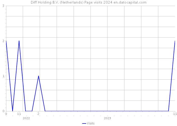 Diff Holding B.V. (Netherlands) Page visits 2024 
