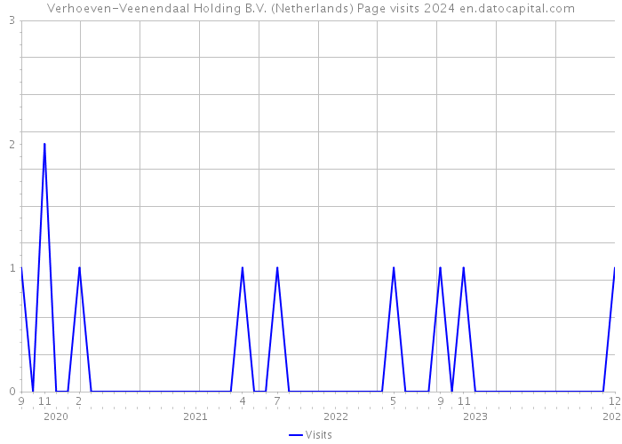 Verhoeven-Veenendaal Holding B.V. (Netherlands) Page visits 2024 
