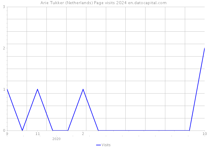 Arie Tukker (Netherlands) Page visits 2024 