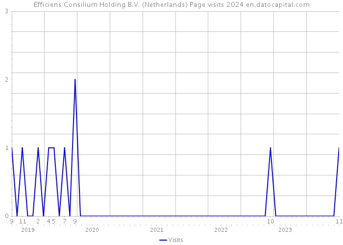 Efficiens Consilium Holding B.V. (Netherlands) Page visits 2024 