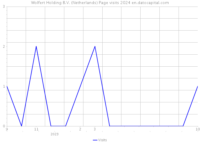 Wolfert Holding B.V. (Netherlands) Page visits 2024 